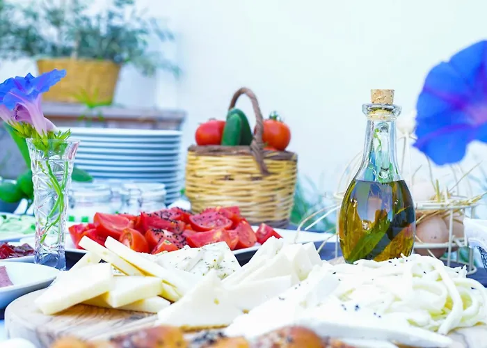 Oemer Aga Konagi فندق